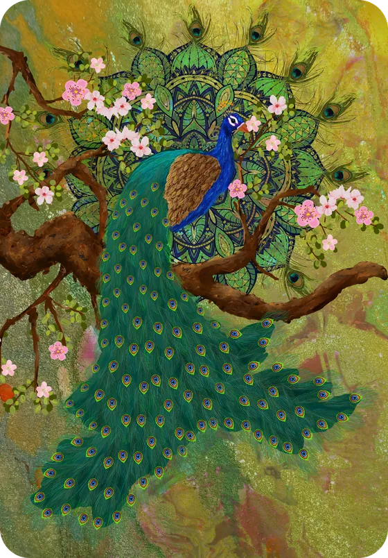 Peacock
